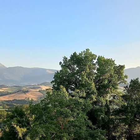 Pigno, Appartamento In Campagna Cagli Eksteriør billede