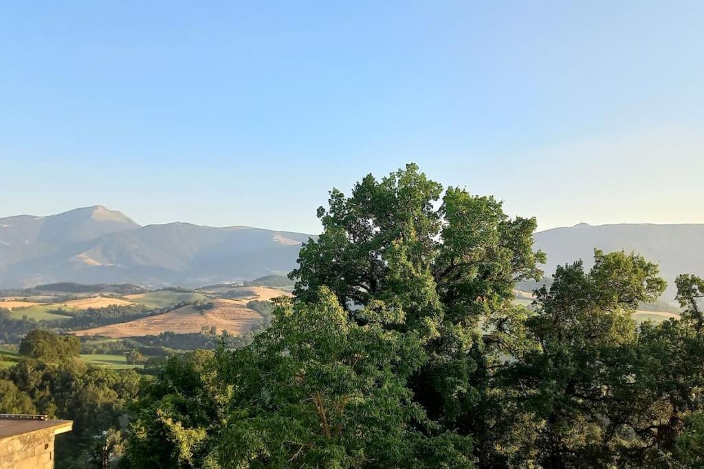 Pigno, Appartamento In Campagna Cagli Eksteriør billede